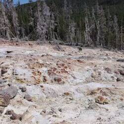 Ziemlich öde, ohne Bäume