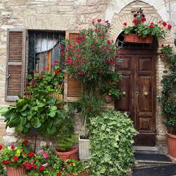 A favorite door, near one of the concert venues