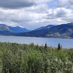 ... am Kluane Lake ...