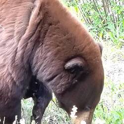 ... mag Blümchen 🌻