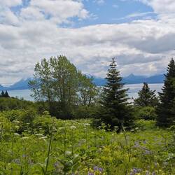 Unterwegs auf dem Wynn nature trail