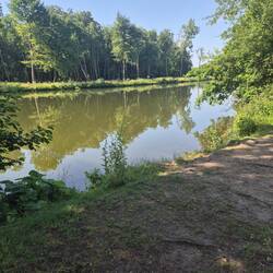 Ruhig und idyllisch, die Werre vorm Weg. 🏞️🌳🚶‍♀️
