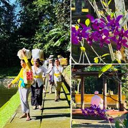 Pilger mit Opfergaben auf dem Weg zur Zeremonie