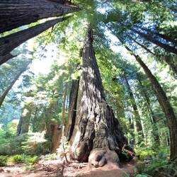 Wie gross sind wir wirklich?