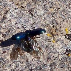 Wieder in der Freiheit