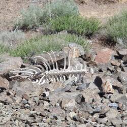 ....sonst kann es böse enden. 🙈