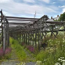 Eine vo xxx Stockfisch Tröchnigss Holzgrūscht. Bis im März werdid die Fisch tröchnet.