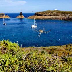 L'archipel des îles Columbretes est une réserve naturelle située à 30 nms de la côte espagnole
