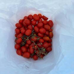 🍅😍