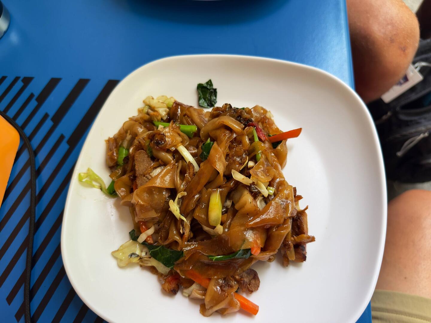 Vegan pad see iew at Lee Jae Vegan.
