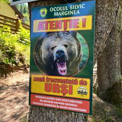 Die Warnschilder werden drastischer - heute keine Bärenspur gesehen!