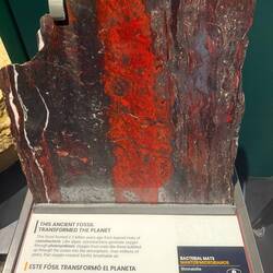 One of Mozelle's favorite exhibits