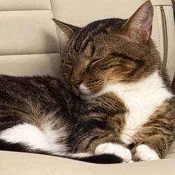 Spyro who? I’ve been holding down the fort.