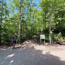 Which way do we go? The tunnel's over there!