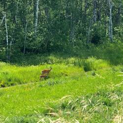 Mama and her baby! ❤️