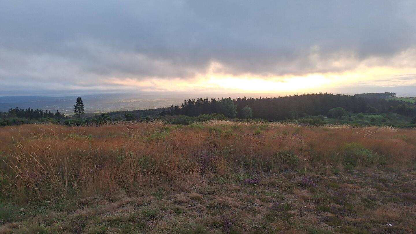 The sky was beautiful this morning