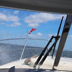 Ganz klar: Westwind...