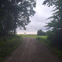 Lichtung
