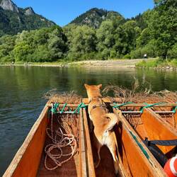 Mica ist neugierig 👀.