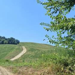 De zwaarste kilometer tot nu toe op de hele Via Francigena.