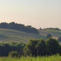 Prachtig strijklicht.
