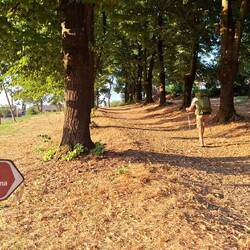 Gerald uit Orléans trekt de kop.