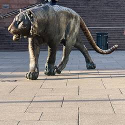 We looked out at this tiger from our room