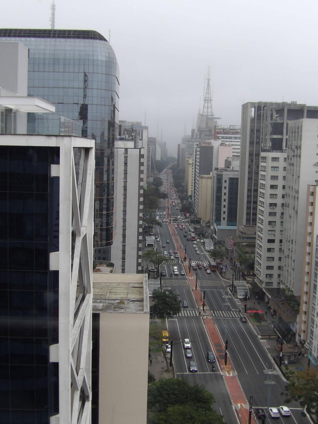 Avenida Paulista now ( since the 1950s)