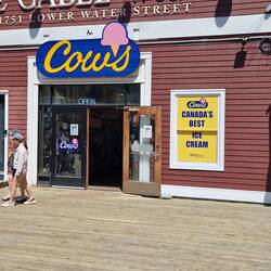 Cows ice cream shop