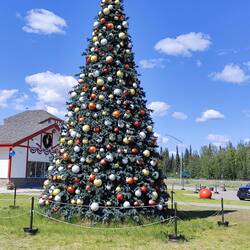 Jetzt abber Schluss 👋🧑‍🎄