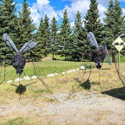 ... und dann noch diese typischen Plagegeister 😖