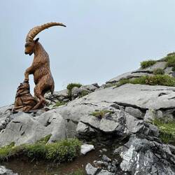Wooden ram sculpture