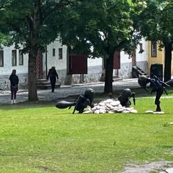 YES, those are live "bug model people"---its art!