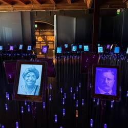 Laurettes over the years