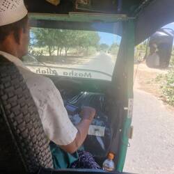 Saved by the Tuktuk, we were melting, back to the pool