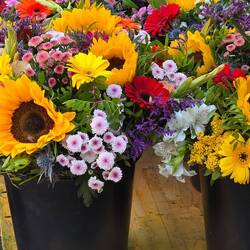 Farbenfroher Wochenmarkt