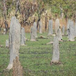 They look like gravestones