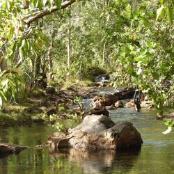 Pretty creek crossings