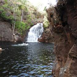 Florence Falls from bottom