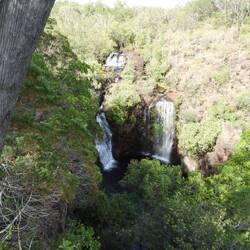 Florence Falls from lookout