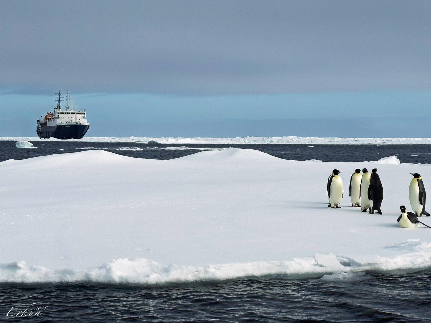 Our ship in the ice as our zodiac arrives to check out some emperor penguins — eastern Weddel Sea.