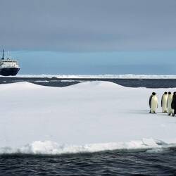 Our ship in the ice as our zodiac arrives to check out some emperor penguins — Western Weddel Sea.