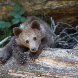 ...und ein Kleiner !