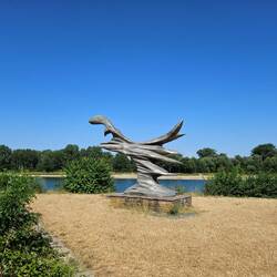 "Die Welle" von Georg Zeuner