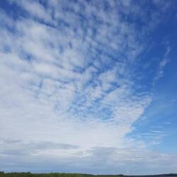Schäfchenwolken oben, Regenwolken unten, das Wetter kommt, 1h später bereits war der Himmel weiß