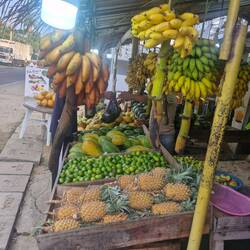 These small bananas are super tasty