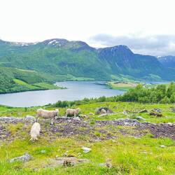 Hochmoor und Blick nahe Rokenes