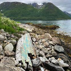 Morgenspaziergang am Fjorf
