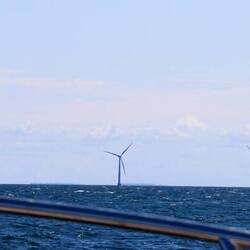 Und auch in Dänemark ist erneuerbare Energie kein Thema.