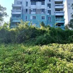 Dystopische taferelen.